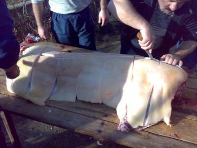 171220111556.jpg