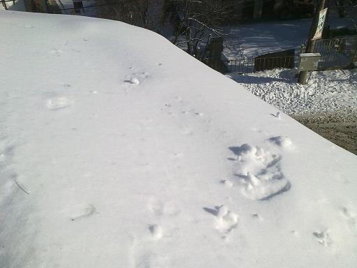 01012012557.JPG