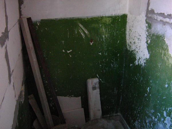 Синьо лято 329 (Custom).jpg