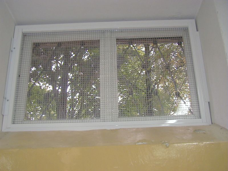 P1010001.jpg