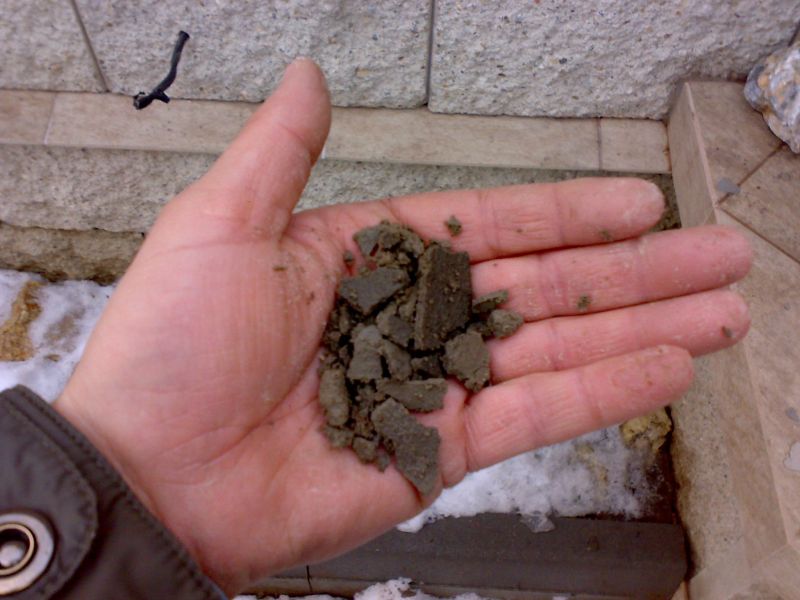 26022012496.jpg