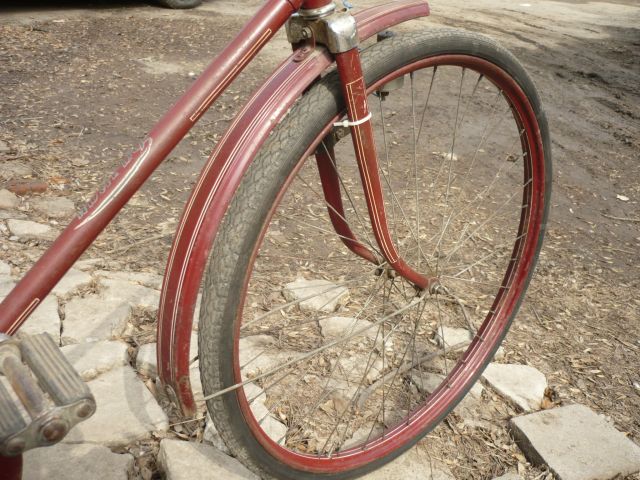 P1080281m.jpg