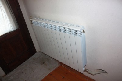 Стая изток-1.JPG