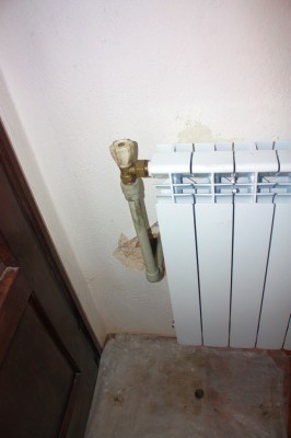 Стая изток 2.JPG