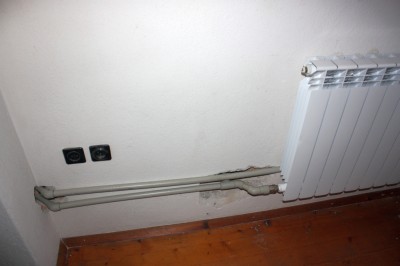 Стая запад-1.JPG