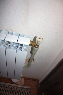 Стая запад-2.JPG