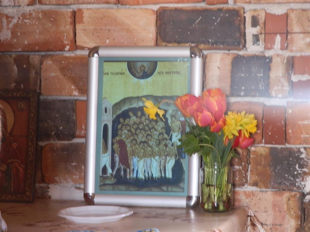 P4168176 (Large).JPG