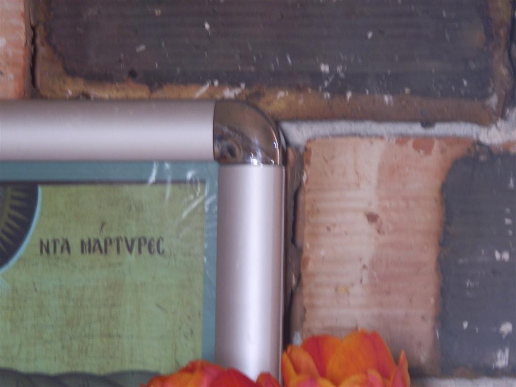 P4168177 (Large).JPG