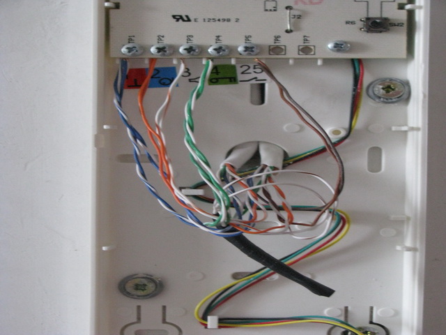 Copy of IMG_5456.JPG