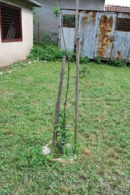 DSC_0072.jpg