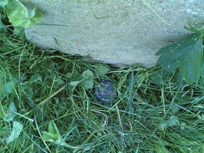 23052012(010).jpg