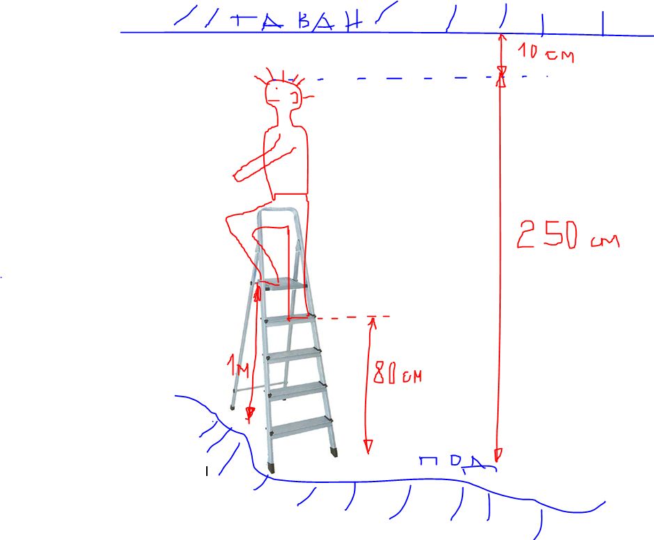 Stylba2+.JPG