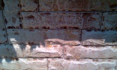 IMAG0102.jpg