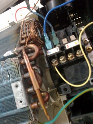 2012-11-09-106 (Copy).jpg