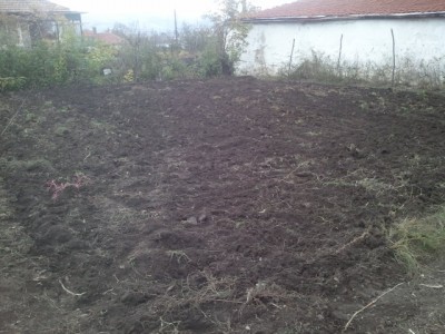 20121110_131301.jpg