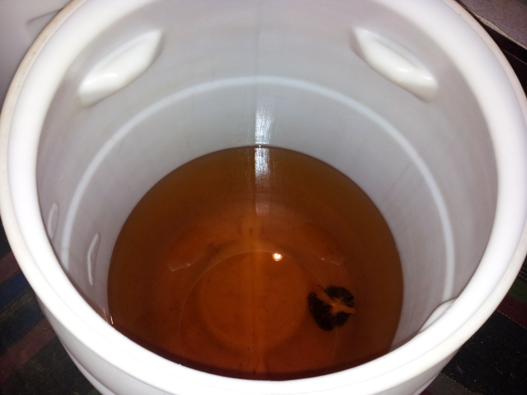 20121116_223512 (1077 x 807).jpg