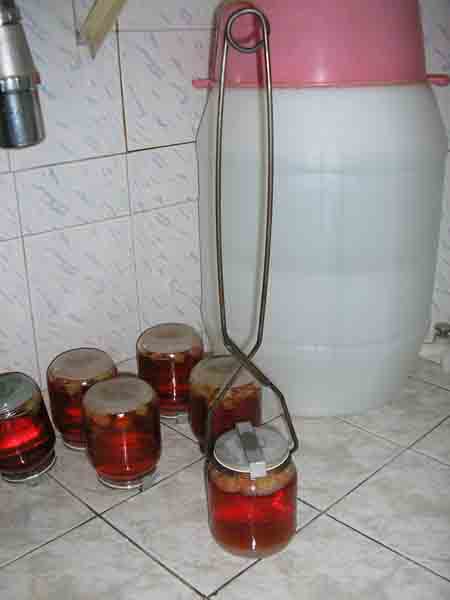 Copy of P5200001.JPG