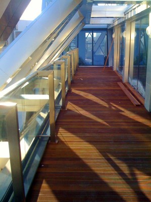 IMG_0475 (598x800).jpg