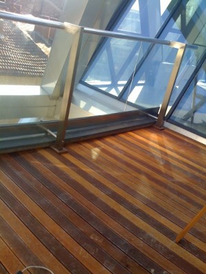 IMG_0470 (480x640).jpg