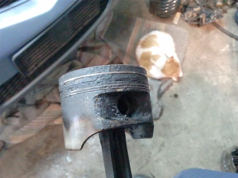 2013-01-27 12.29.15 (Medium).jpg