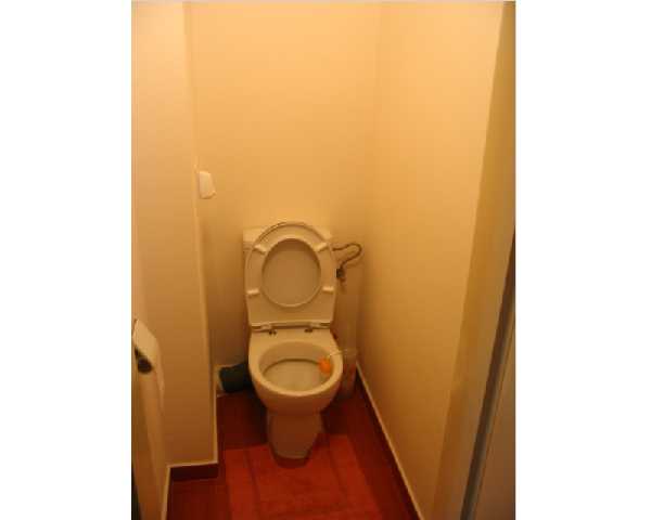 toaletna sega resized.JPG