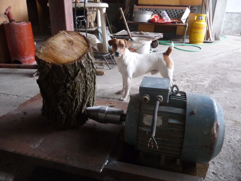 Конус P1100369.jpg