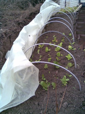 Снимка 027.jpg