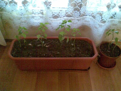 Снимка 000 (2).jpg