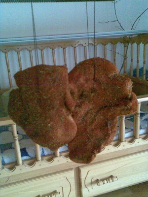 Снимка 002.jpg