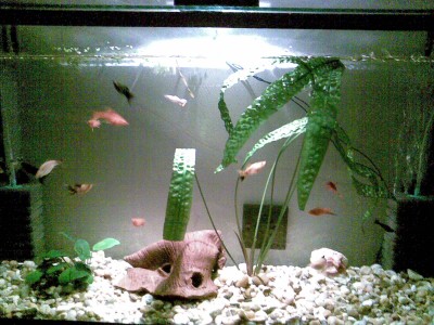 Снимка 000 (2).jpg