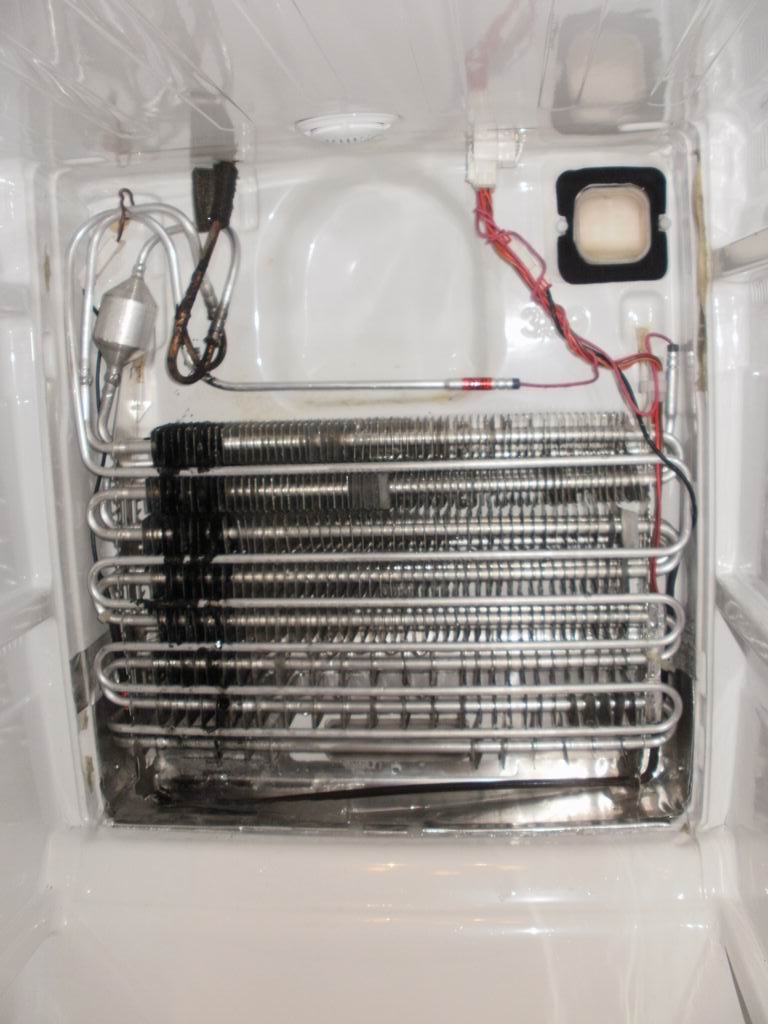 Rotation of Resize of P5110500.JPG