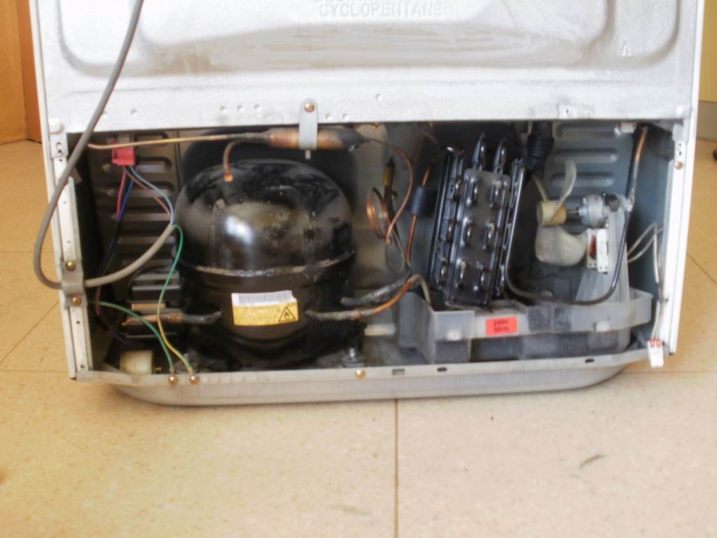 Resize of P5120520.JPG