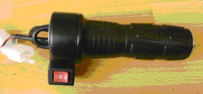 throtle with switch.jpg