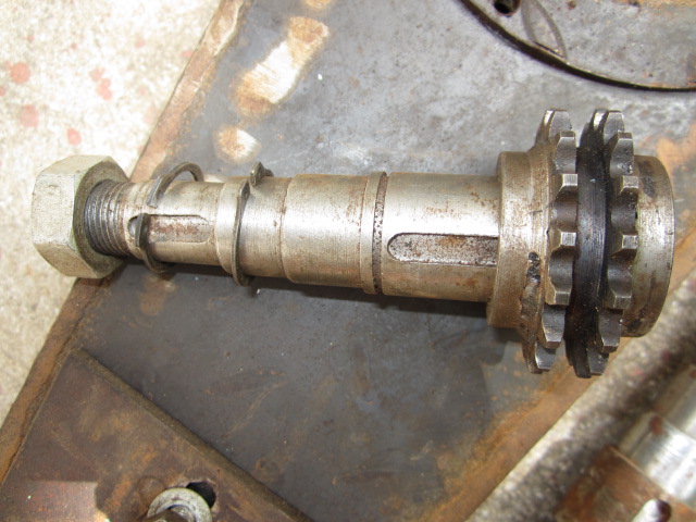 Canon 004.jpg
