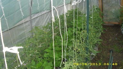 IMG_0300.JPG