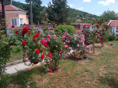 IMG-20130519-00046.jpg