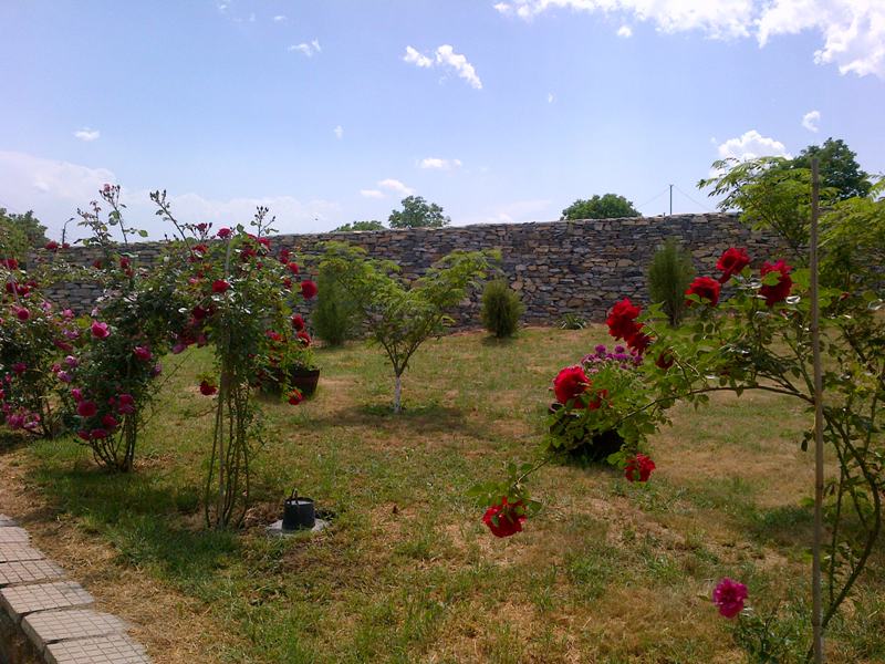 IMG-20130519-00047.jpg