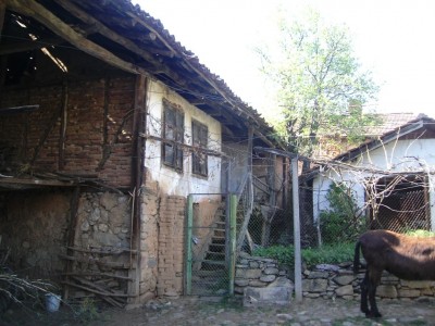 DSCI0065.JPG