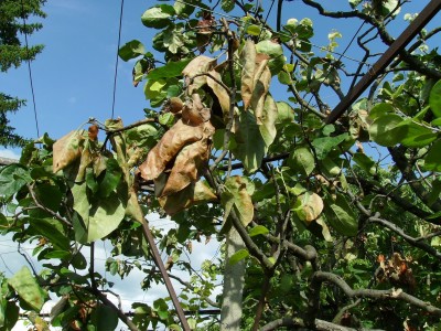 PICT0282.JPG