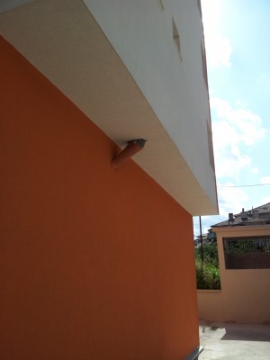 2013-07-02 16.33.07.jpg