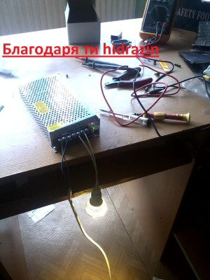 P100913_1309.jpg