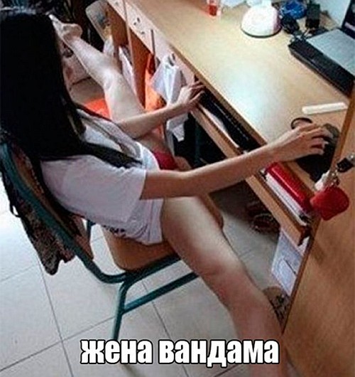 Жената на Ван Дам.jpg