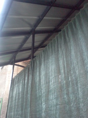 IMG133.jpg