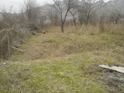 CAM00214.jpg