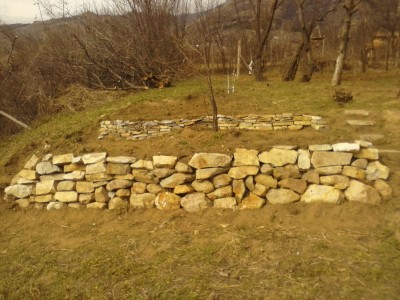 CAM00362.jpg