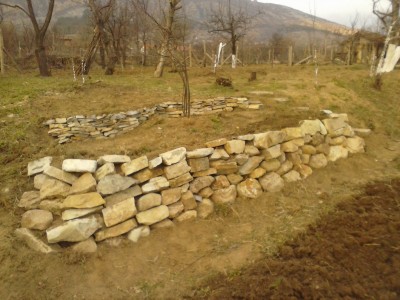 CAM00365.jpg