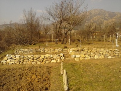 CAM00371.jpg