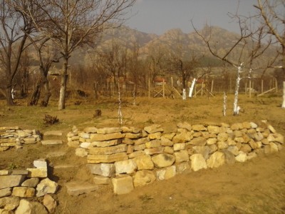 CAM00372.jpg