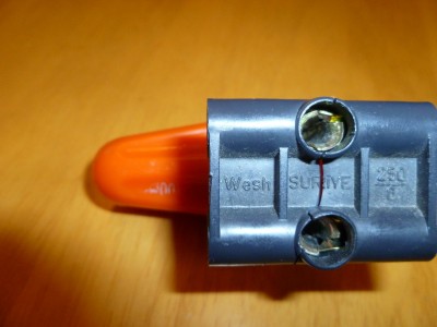 P1040179_1.JPG