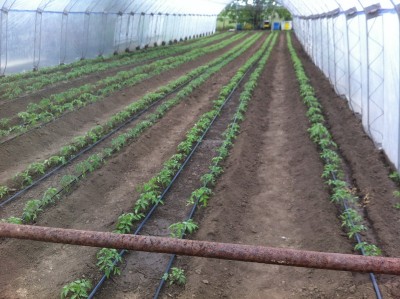 2014-05-18 12.52.02.jpg